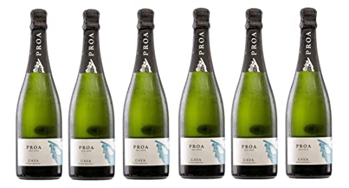 6x 0,75l - Vallformosa - Proa - semi-seco - Cava D.O. - Spanien - Schaumwein halbtrocken von Proa