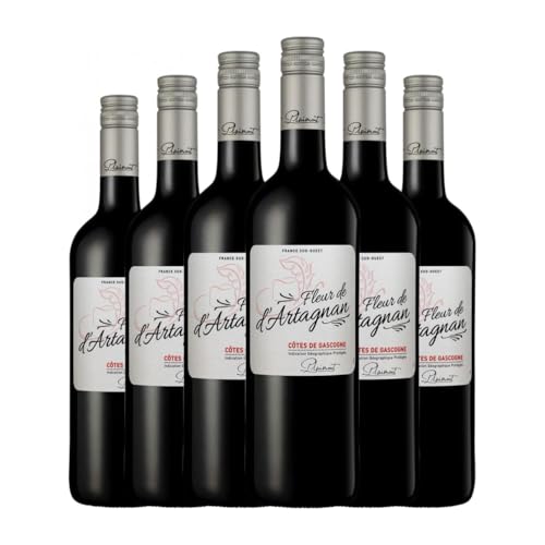 Plaimont Fleur de d'Artagnan Rouge Vin de Pays Côtes de Gascogne 75 cl Rotwein (Karton mit 6 Flaschen von 75 cl) von Producteurs Plaimont