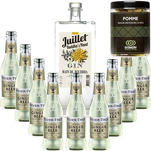 Pack Gintonic - Ferroni Gin Juillet"Main de Boudha" + 9 Fever Tree Ginger Beer Water - (50cl + 9 * 20cl) + Pot de 60 tranches de Pomme déshydratées von Wine And More