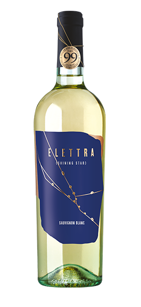 Sauvignon Blanc 2023 von Elettra