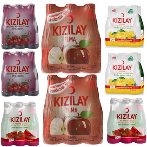 KIZILAY Natürliches Mineralwasser mit gemischtem Fruchtgeschmack (Kirsche, Apfel, Wassermelone, Zitrone), reichhaltiges Mineralwasser mit Bikarbonat und Natrium 200 Milliliter x 48 Flaschen von Pufai