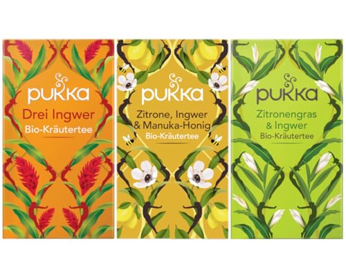 Pukka - Bio-Kräutertee "Ingwer Power" - Tee Mix - 60 Teebeutel (20 x Drei Ingwer, 20 x Zitrone, Ingwer & Manuka-Honig, 20 x Zitonengras & Ingwer) von Pukka