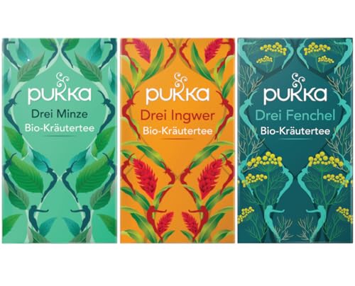 Pukka - Bio-Kräutertee "Wohliges Bauchgefühl" - Tee Mix - 60 Teebeutel (20 x Drei Minze, 20 x Drei Ingwer, 20 x Drei Fenchel) von Pukka