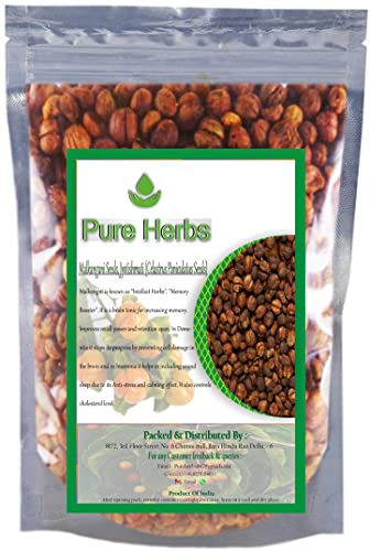 Pure Herbs Malkangni Jyotishmati Celastrus, 50 g von Pure Herbs