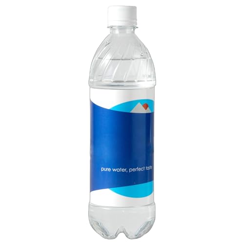 Sichere Aufbewahrungsdose für Wasserflasche, geheime Geldflasche, mit geräumigen Fächern für Reisen, Geschäftsreisen, Camping, Wandern von Pzuryhg