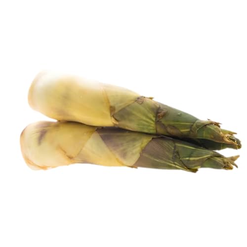 Bamboo Shoots | Frische Bambussprossen | Bambusschösslinge - 500 g (1000 g, Pfeffer) von Quast Meerrettich