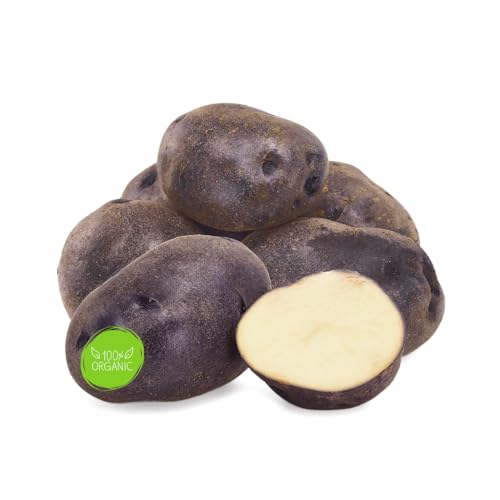 Bio Schwarze Ungarin Kartoffeln aus Deutschland | Gourmet Speisekartoffeln "Vitelotte noire" mehligkochend (800 g) von Quast Meerrettich