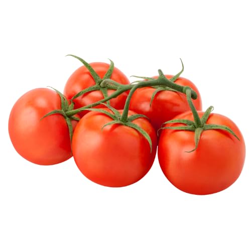 Frische Rispentomaten | Strauchtomaten | Fleischtomaten (1000 g) von Quast Meerrettich