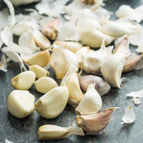 Knoblauch | Garlic | Ajo (250 g) von Quast Meerrettich