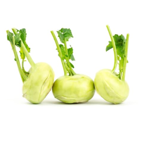 Kohlrabi | Frische Kohlrabi Rüben (3 Stück) von Quast Meerrettich