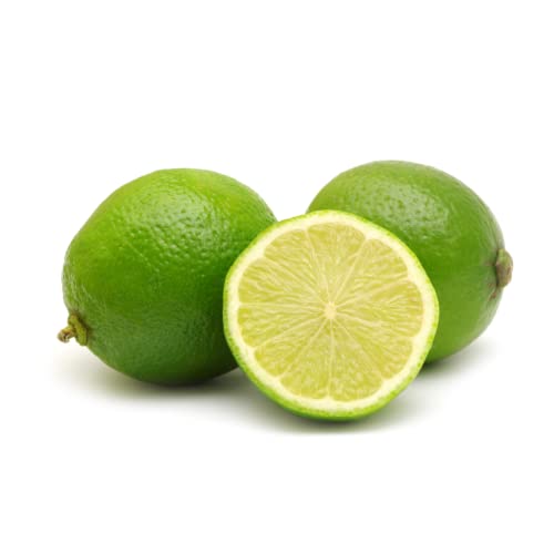 Limetten | Frische saftige Limetten ca. 5 Stück (400 g) von Quast Meerrettich