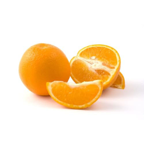 Orangen | Frische Saftige Orangen (1 kg) von Quast Meerrettich