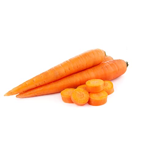 Quast Meerrettich Speisekarotten | Frische farbenfrohe Möhren (Orange, 1,00 KG) von Quast Meerrettich