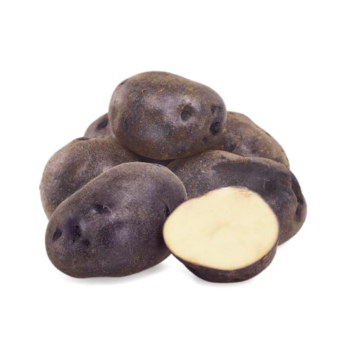 Schwarze Ungarin Kartoffeln aus Deutschland | Gourmet Speisekartoffeln "Vitelotte noire" mehligkochend (800 g) von Quast Meerrettich