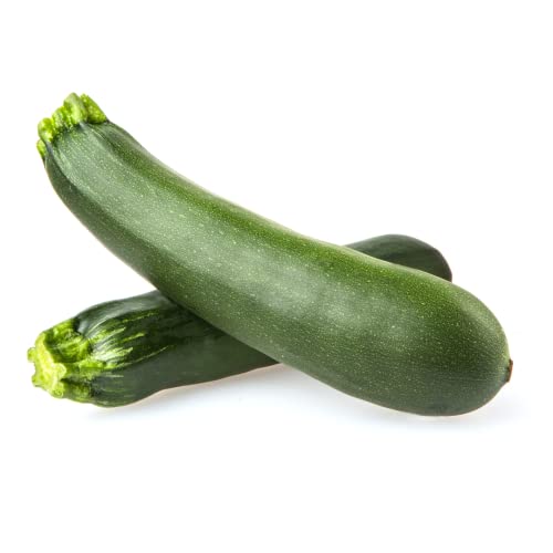 Zucchini | Frische Grüne Zucchini (500 g) von Quast Meerrettich