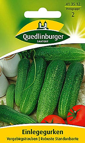 Einlegegurken Vorgebirgstrauben | Robuste Standardsorte (Cucumis sativus) Standardsaatgut EG-Norm von Quedlinburger