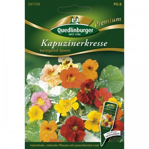 Kapuzinerkresse Variegated Queen von Quedlinburger