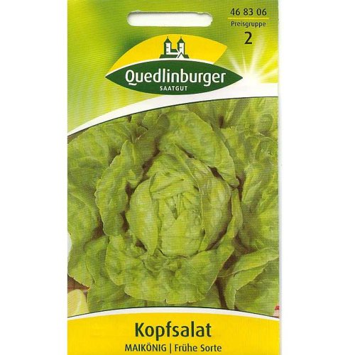 Kopfsalat, Maikönig von Quedlinburger