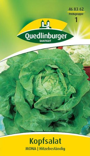 Kopfsalat, Mona von Quedlinburger