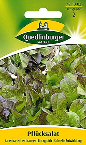 Pflücksalat Amerikanischer brauner | Ertragreich | Schnelle Entwicklung (Lactuca sativa) Standardsaatgut EG-Norm von Quedlinburger