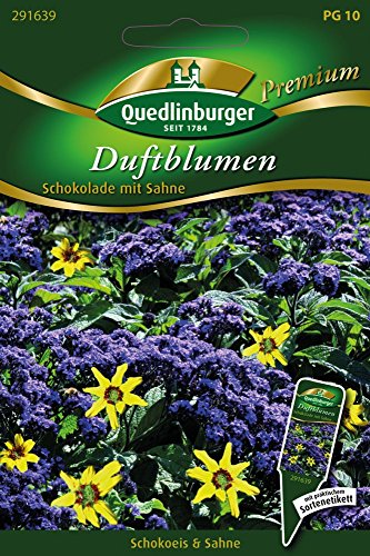 Quedlinburger 291639 Duftblumen Schokolade mit Sahne (Blumenmischung) von Quedlinburger