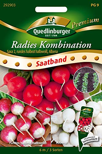 Quedlinburger 292903 Radies Kombi Saxa & Albena (Radiessamen) von Quedlinburger