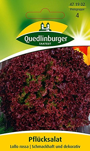 Quedlinburger 471902 Pflücksalat Lollo rossa (Salatsamen) von Quedlinburger