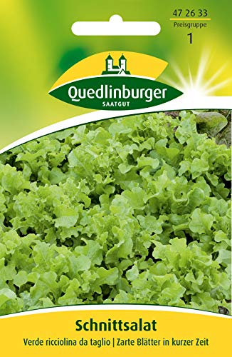 Quedlinburger 472633 Salatsamen - Schnittsalat Verde ricciolina (Salatsamen) von Quedlinburger