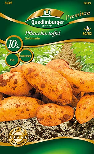 Quedlinburger 84008 Kartoffel Goldmarie (10 Stück) (Pflanzkartoffeln) von Quedlinburger