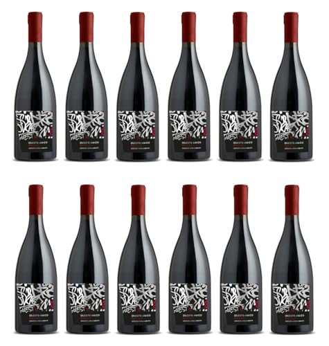 12x 0,75l - Questo Amico - Leggero Appassimento - Rosso - Veneto I.G.P. - Italien - Rotwein trocken von Questo Amico