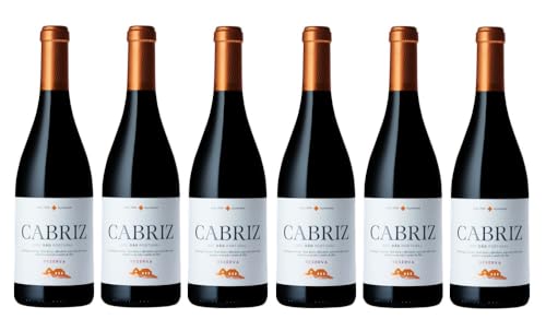 6x 0,75l - 2019er - Quinta de Cabriz - Reserva - Tinto - Dão D.O.P. - Portugal - Rotwein trocken von Quinta de Cabriz