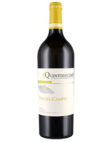 Irpinia DOC Falanghina Via del Campo Quintodecimo 2020 0,75 ℓ von Quintodecimo