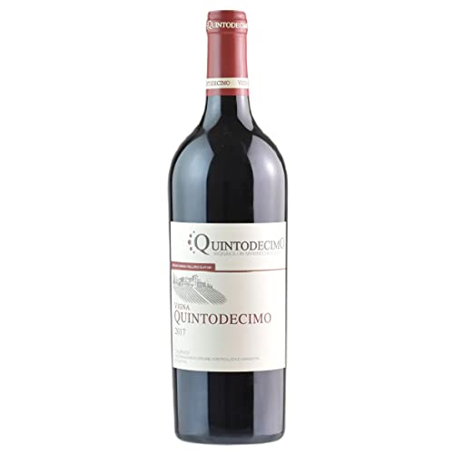 Quintodecimo Taurasi Riserva Quintodecimo 2017, Kampanien-Rotwein, 100% Aglianico, stiller Rotwein, 14,5% vol (1x750 ml) von Quintodecimo