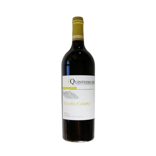 Quintodecimo Via del Campo 2023 Magnum, Falnghina 100%, vino bianco Campania, Irpinia DOC, con astuccio in legno, 13% vol, 1,5 L von Quintodecimo