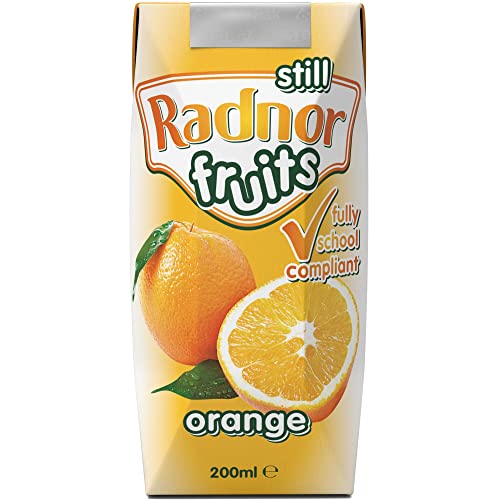 Radnor Hills Früchte Orange Obstkartons 24x200ml von Radnor Hills