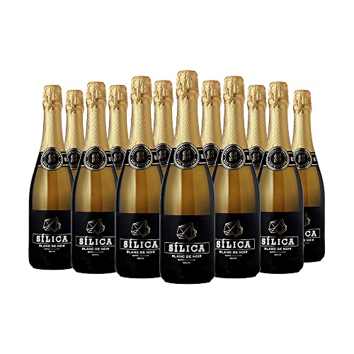 Pack 12 Sílica Sekt Super Reserva Bruto "Blanc de Noir" 0,75 L von Raul Riba D'Ave