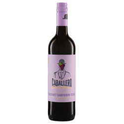 Cabernet-Sauvignon-Syrah Caballero Tinto La Mancha Irjimpa DO 2022 von Riegel