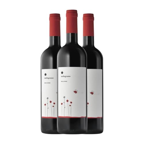 Roccafiore Melograno Rosso Sangiovese Umbria 75 cl Rotwein (Karton mit 3 Flaschen von 75 cl) von Roccafiore