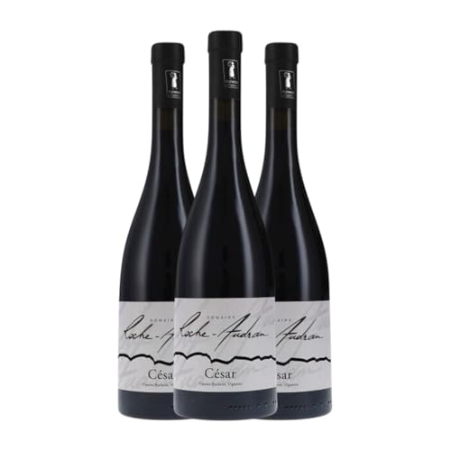 Roche Audran Cuvée César Rouge Grenache Côtes du Rhône 75 cl Rotwein (Karton mit 3 Flaschen von 75 cl) von Roche-Audran