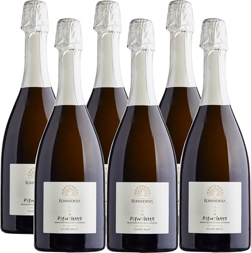 Romandiola Pignoletto DOC Spumante Brut Sekt - 6 flaschen von Romandiola