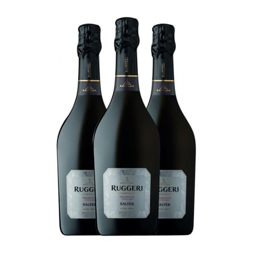 Ruggeri Salter Glera Extra Brut Prosecco di Valdobbiadene Superiore di Cartizze 75 cl Weißer Sekt (Karton mit 3 Flaschen von 75 cl) von Ruggeri