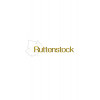 Ruttenstock 2023 Chardonnay halbtrocken von Ruttenstock