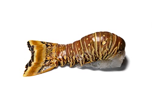 Karibik Langustenschwanz - Spiny Lobster Tail - Rock Lobster Tail / roh / >310g / Wildfang aus dem Karibisches Meer von SEPEHR DAD CAVIAR