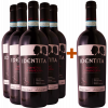 SG Vini 2019 5+1 Paket Identita' Primitivo di Manduria DOC von SG Vini