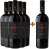 SG Vini 2023 5+1 Paket Intuizione Primitivo Salento IGP von SG Vini