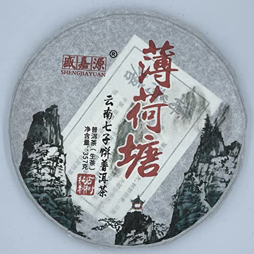 Pu-Erh tea,2020,SHENG JIA YUAN,薄荷塘 Mint pond,357g,Raw von SHENG JIA YUAN