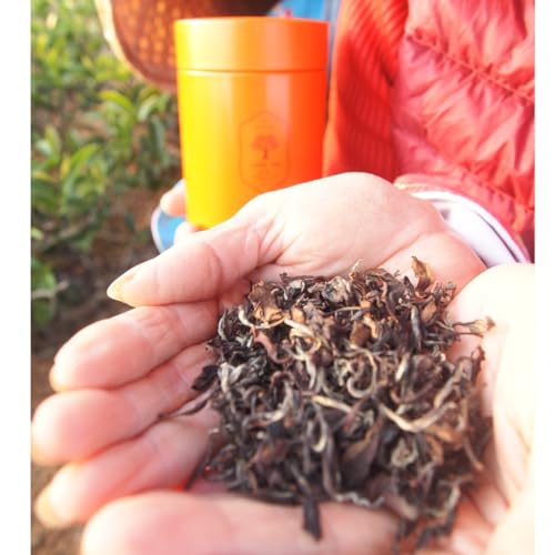 Taiwan unique tea,東方美人茶 Oriental Beauty tea,75g*4 von SHENG JIA YUAN