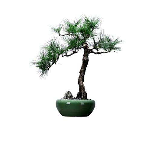 Künstlicher Bonsai-Baum, künstliche Topfpflanzen, Keramik-Topf-Desktop-Dekoration, Ornamente, geeignet for Wohnzimmer, Arbeitszimmer, Teestube, gefälschte Topfpflanze von SHOUKAII