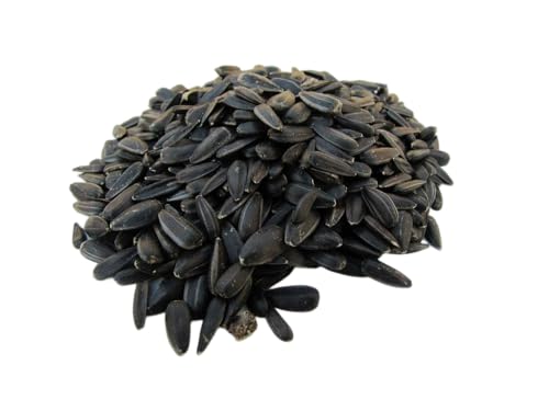 Sonnenblumenkerne schwarz 12,5kg, aus aktueller regionaler Deutscher Ernte von SOLIDE