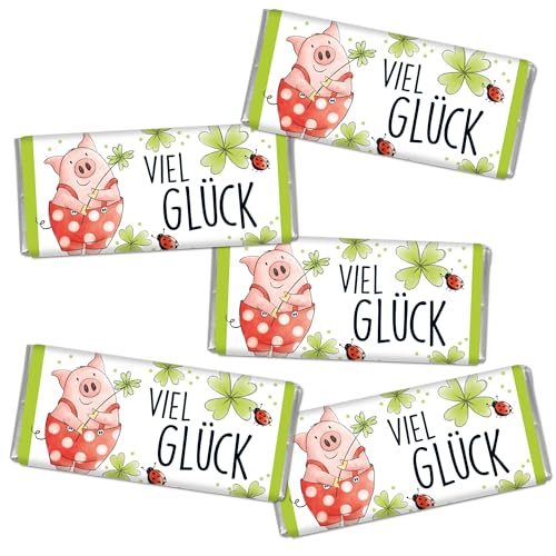 STEINBECK Glück Geschenk 5 mal 18g Minischokolade - Viel Glück - Glücksschwein Prüfung Abitur Studium Beruf Krankheit Umzug Wettkampf Glücksbringer von STEINBECK